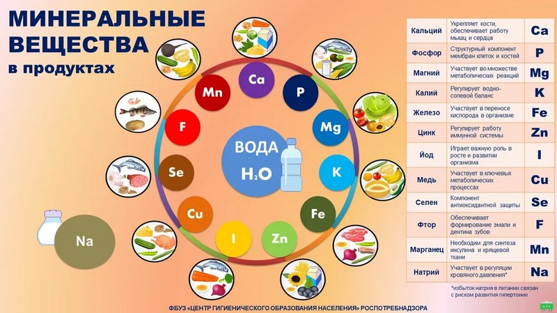 Санитарный щит страны. Здоровое питание.